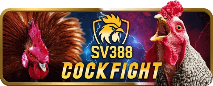 Hình ảnh đá gà trực tiếp với không khí sôi động tại 88slot